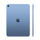 Apple iPad 10.9 2022 Wi-Fi 256GB Blue (MPQ93/MCMF43) б/в